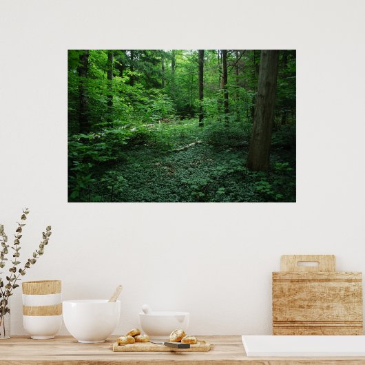 Bos3 Poster (Keuken)