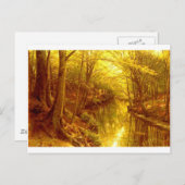 bos-afbeeldingen-8 briefkaart (Voorkant / Achterkant)