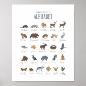 Bos alfabet dier ABC kinderkamer decor Poster (Voorkant)
