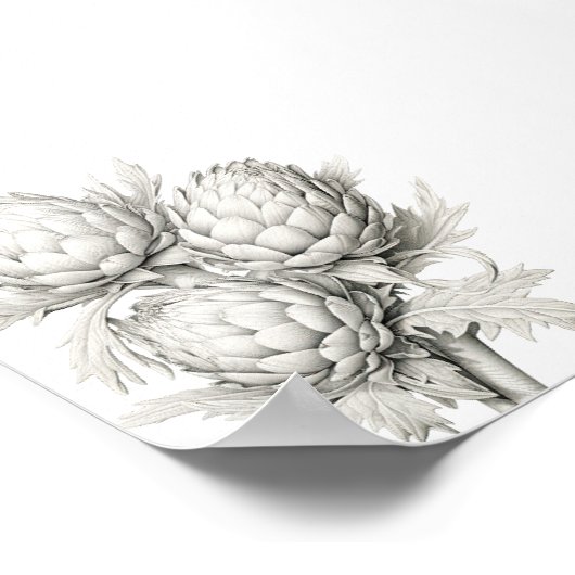 BOS ARTISJOKKEN POSTER (Hoek)