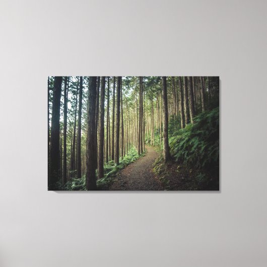 Bos | Bergen van Wakayama Japan Canvas Afdruk (Voorkant)