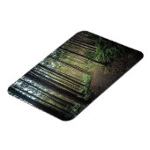 Bos | Bergen van Wakayama Japan Magneet (Linkerzijde)