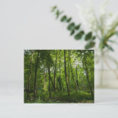 Bos. Blackweir Bossen, Bute Park, Cardiff, Wal Briefkaart (Staand voorkant)