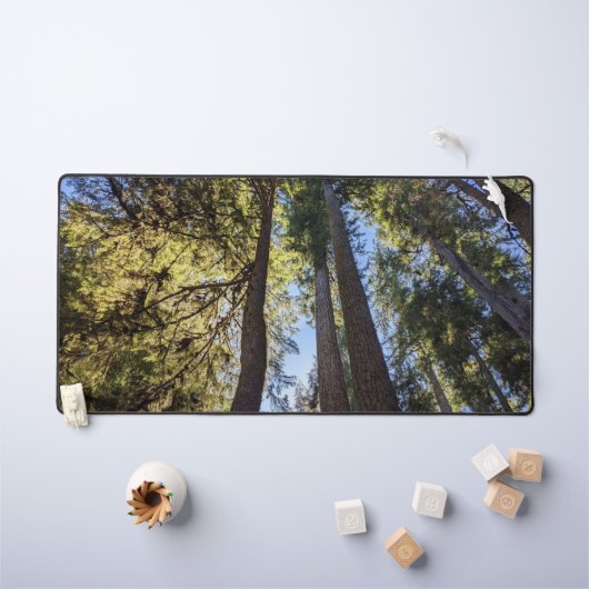 Bos Bomen Landschap Bureaumat (Kindertafel)
