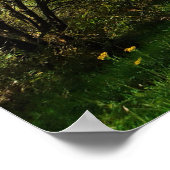 Bos Bomen langs wandelpad Prachtige dag Poster (Hoek)