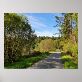 Bos Bomen langs wandelpad Prachtige dag Poster