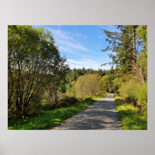 Bos Bomen langs wandelpad Prachtige dag Poster (Voorkant)