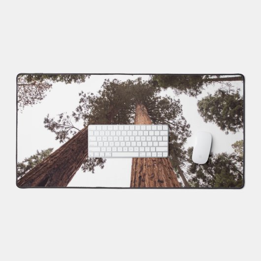 bos, boom bureaumat (Keyboard & Muis)