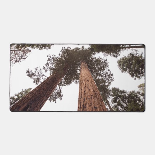 bos, boom bureaumat (Voorkant)