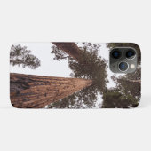 bos, boom Case-Mate iPhone case (Achterkant (horizontaal))