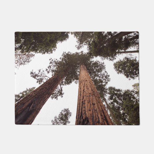 bos, boom deurmat (Voorkant)