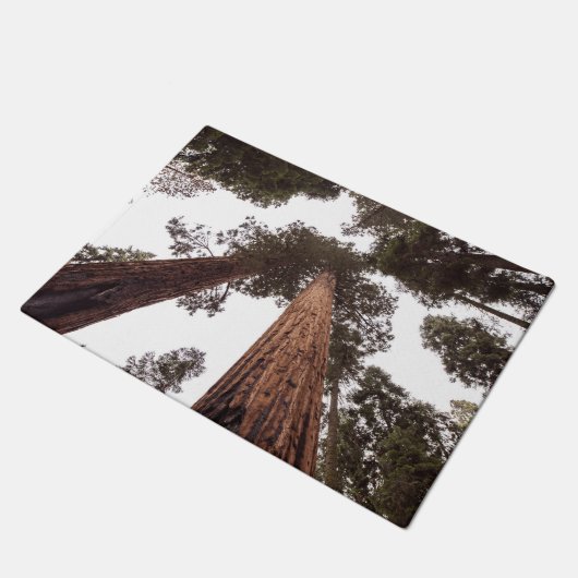 bos, boom deurmat (Schuin)