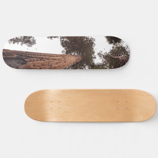 bos, boom persoonlijk skateboard (Horizontaal)