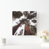 bos, boom vierkante klok (Huis)