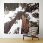 bos, boom wandkleed (In Situ (horizontaal))