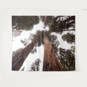 bos, boom wandkleed (Voorkant (horizontaal))