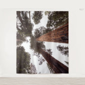 bos, boom wandkleed (Voorkant)