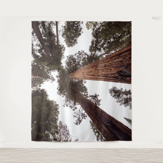 bos, boom wandkleed (Voorkant)