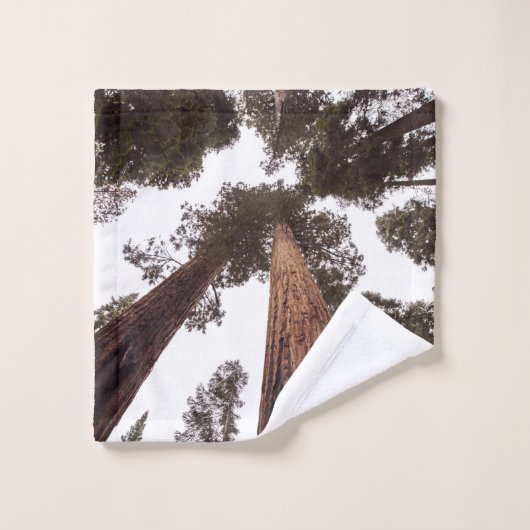 bos, boom washandje (Wasdoekje)