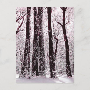 BOS BOS BESCHNEIEMDE WINTERLANDSCHAP BRIEFKAART