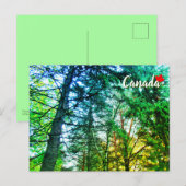 Bos bosland mengeling van bomen Canada Briefkaart (Voorkant / Achterkant)