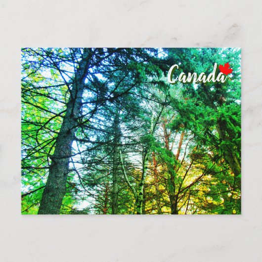Bos bosland mengeling van bomen Canada Briefkaart (Voorkant)