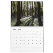 Bos Bossen Landschap Vier seizoenen Kalender (Mar 2026)