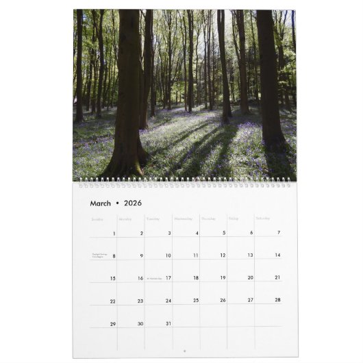 Bos Bossen Landschap Vier seizoenen Kalender (Mar 2026)