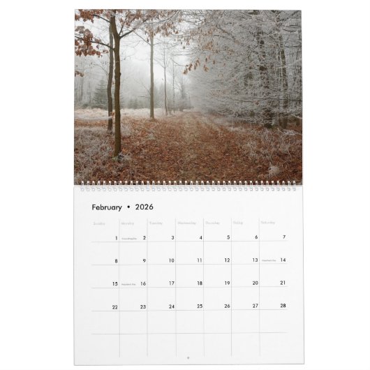 Bos Bossen Landschap Vier seizoenen Kalender (Feb 2026)