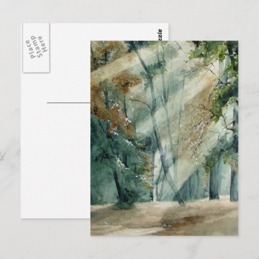 bos briefkaart (Voorkant / Achterkant)