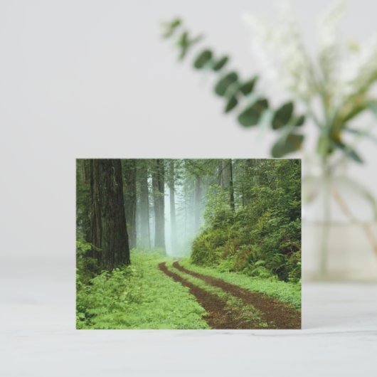 Bos Briefkaart (Staand voorkant)