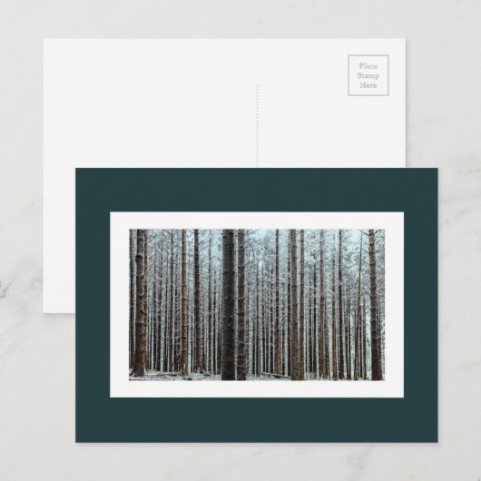 Bos Briefkaart (Voorkant / Achterkant)