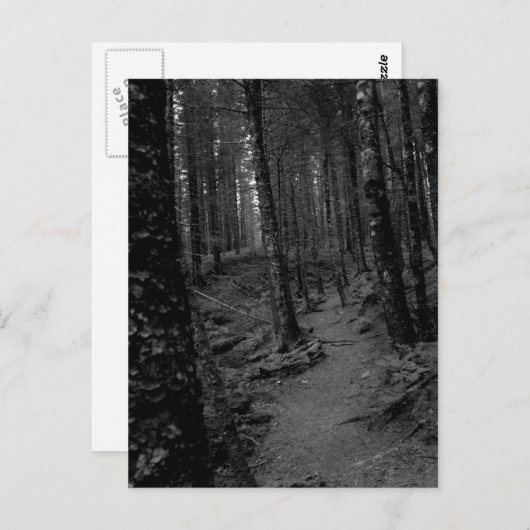 Bos Briefkaart (Voorkant / Achterkant)