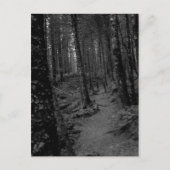 Bos Briefkaart (Voorkant)