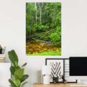 Bos, De Knysna-Amatole Bergbossen Poster (Thuiskantoor)