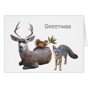 Bos Dieren Groeten Kaart