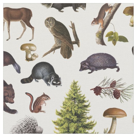  bos dierentuin stof (Close Up)