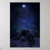 Bos Dromer Poster (Voorkant)