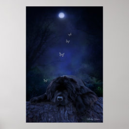 Bos Dromer Poster