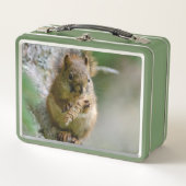 Bos Eekhoorn – Natuurfotografie (Voorkant)