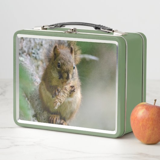 Bos Eekhoorn – Natuurfotografie (In situ)