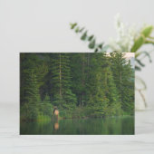 Bos | Elk in het nationale park Alberta Banff Bedankkaart (Staand voorkant)