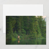 Bos | Elk in het nationale park Alberta Banff Bedankkaart (Voorkant / Achterkant)