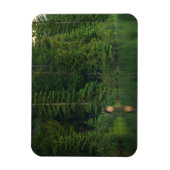 Bos | Elk in het nationale park Alberta Banff Magneet (Verticaal)