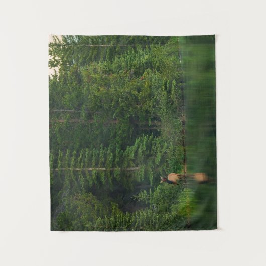 Bos | Elk in het nationale park Alberta Banff Wandkleed (Voorkant)