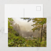 Bos- en oceanlandschap briefkaart (Voorkant / Achterkant)