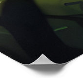 Bos en paddenstoelen poster (Hoek)