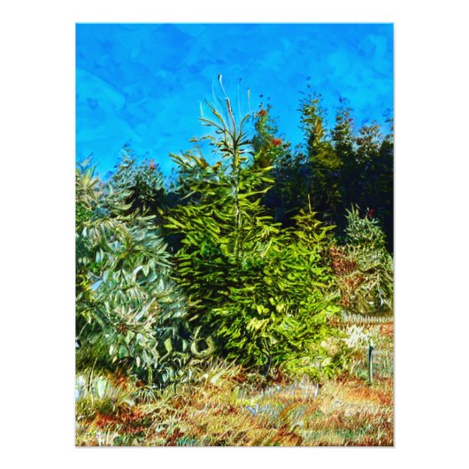 BOS FOTO AFDRUK (Voorkant)