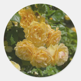 Bos gele tuinrozen ronde sticker