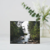 Bos in de buurt van Hunters Beach Briefkaart (Staand voorkant)